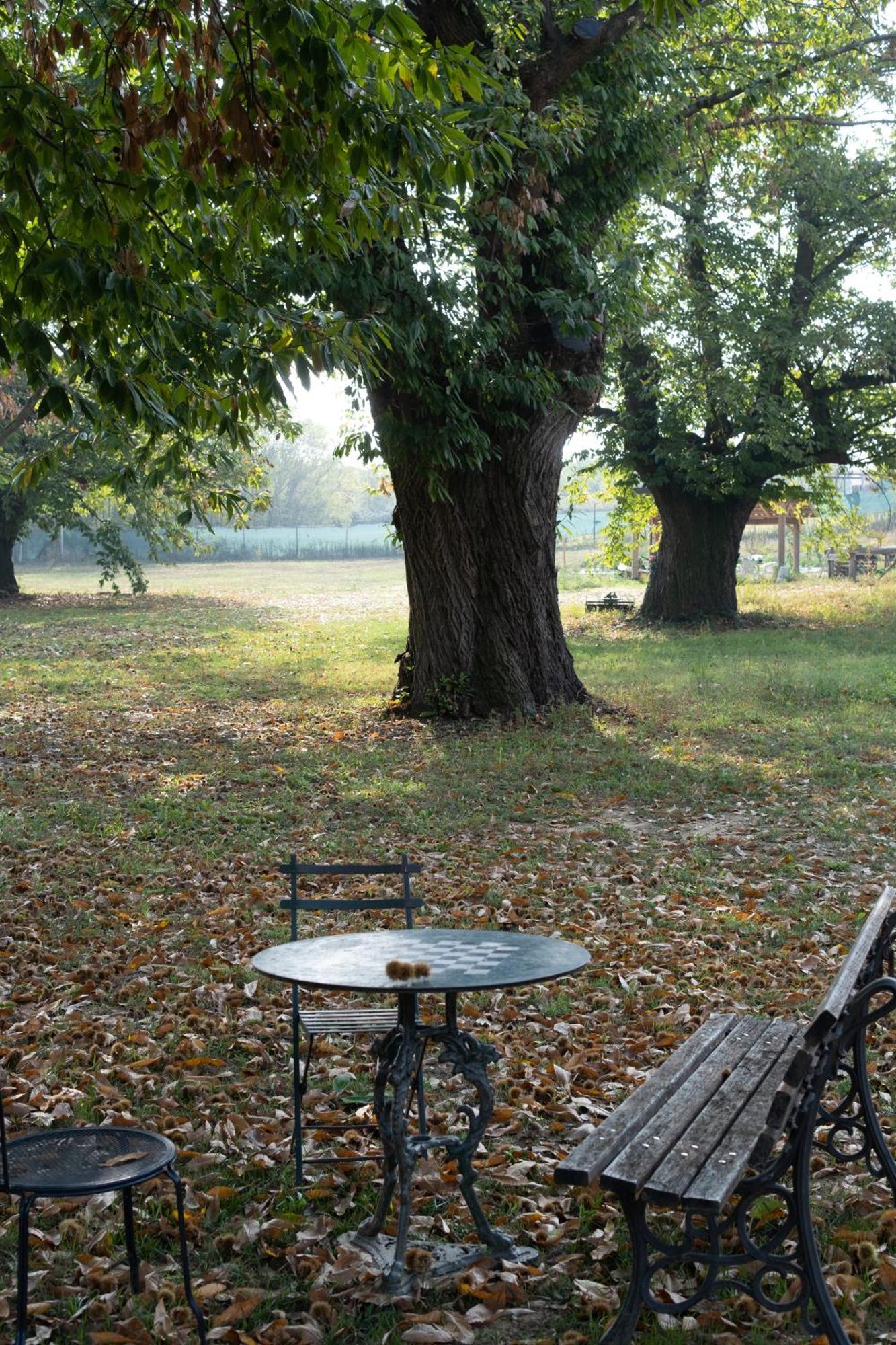Il Riccio e la Castagna - Country House Montaldo Roero Esterno foto