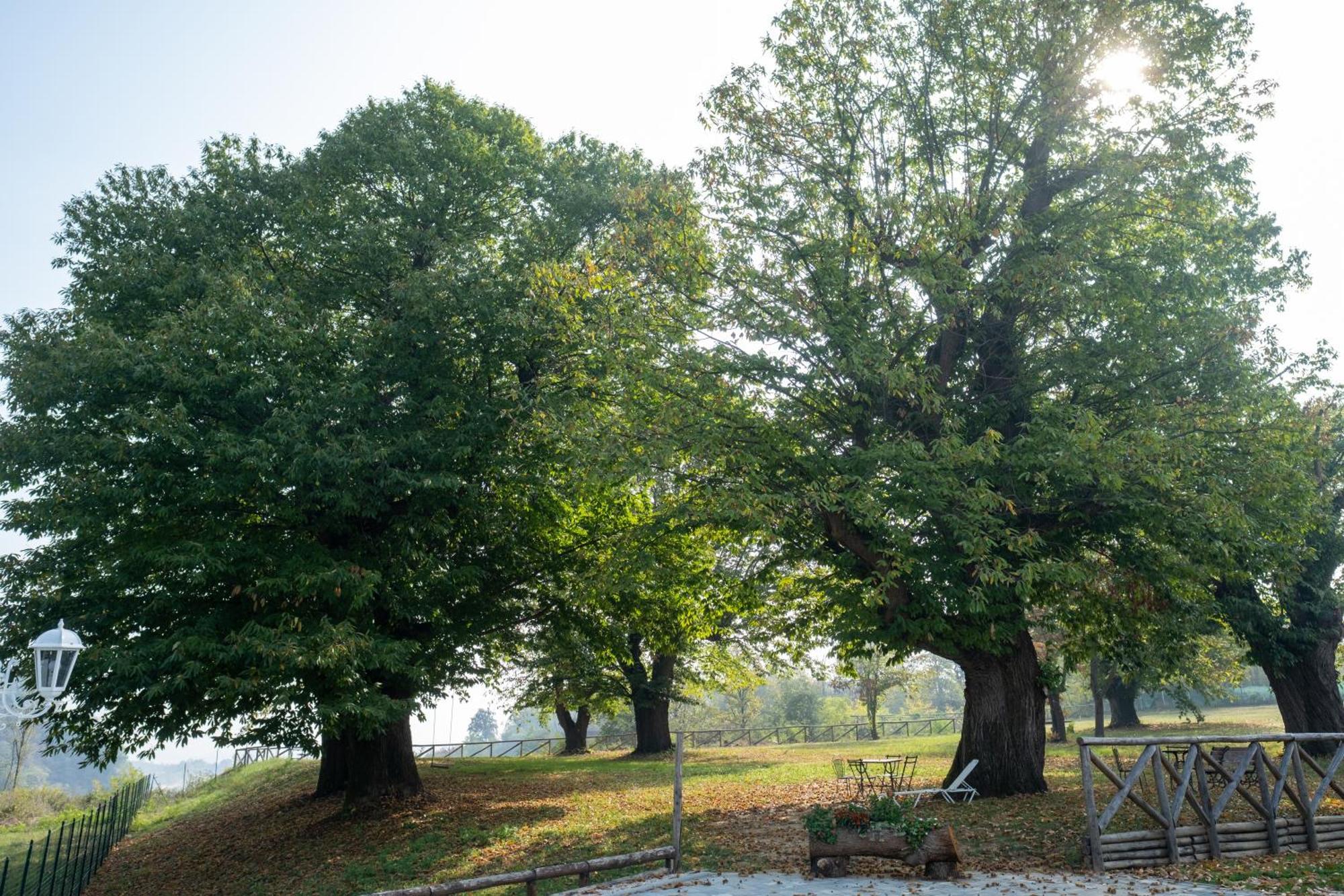 Il Riccio e la Castagna - Country House Montaldo Roero Esterno foto